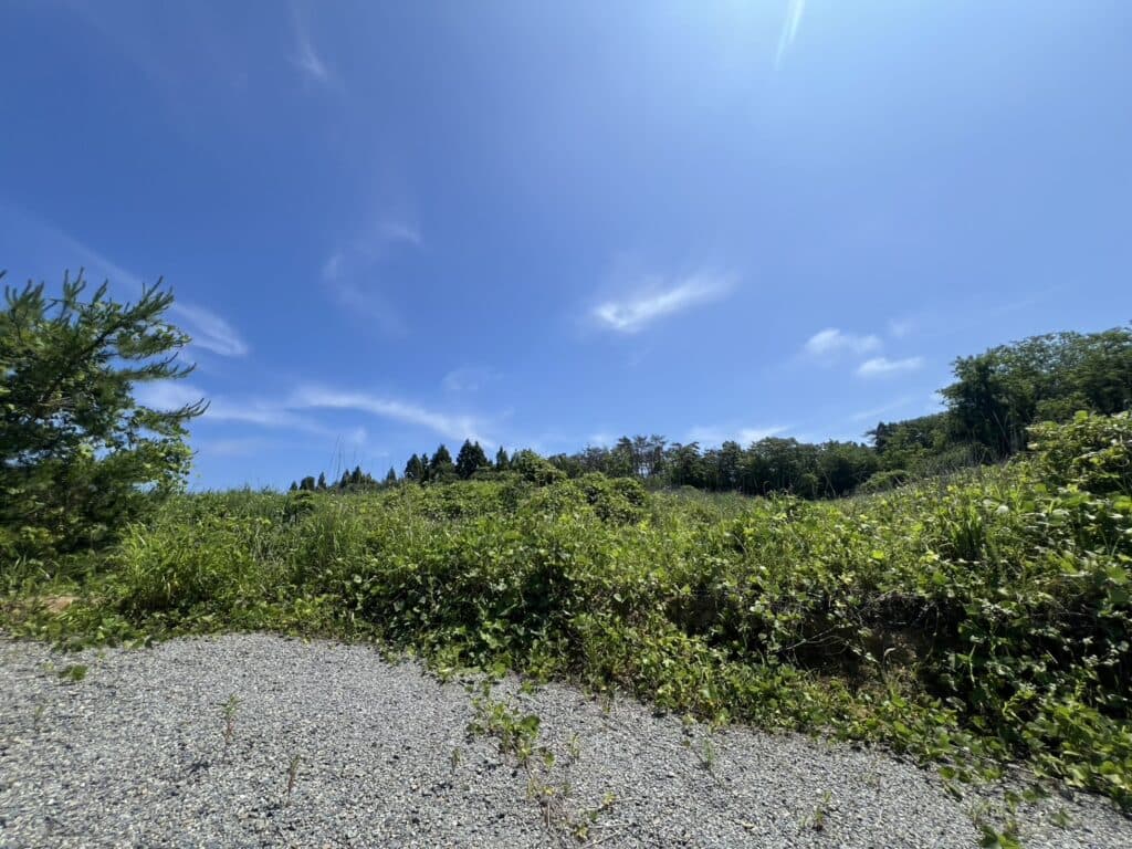 原町区金沢字物見山（山林）